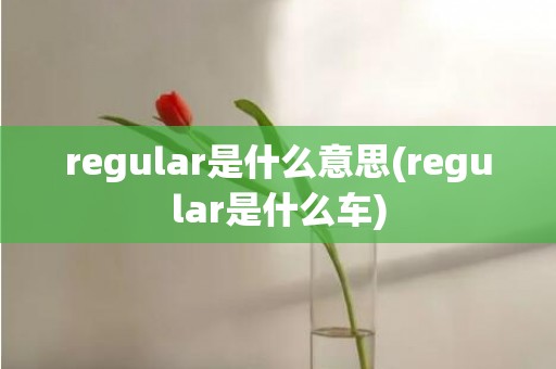 regular是什么意思(regular是什么车)