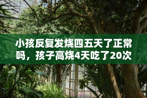 小孩反复发烧四五天了正常吗，孩子高烧4天吃了20次退烧药要紧吗
