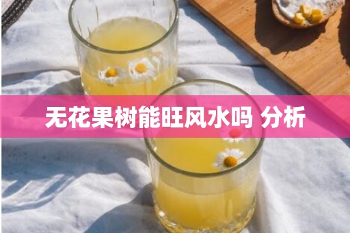 无花果树能旺风水吗 分析