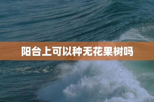 阳台上可以种无花果树吗