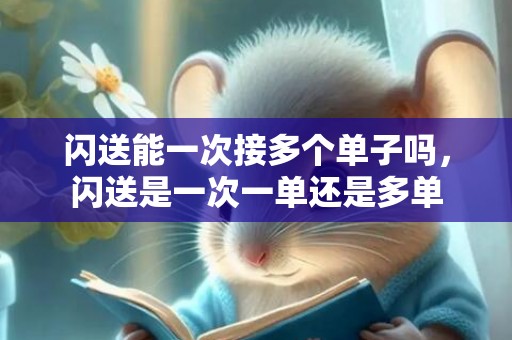 闪送能一次接多个单子吗，闪送是一次一单还是多单