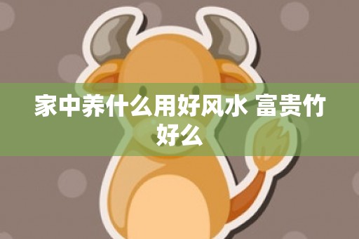 家中养什么用好风水 富贵竹好么