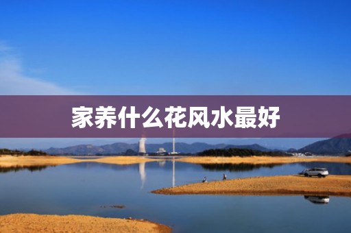 家养什么花风水最好