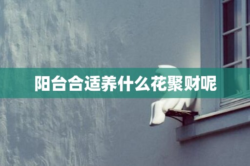 阳台合适养什么花聚财呢