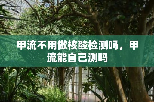 甲流不用做核酸检测吗，甲流能自己测吗
