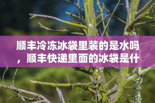 顺丰冷冻冰袋里装的是水吗，顺丰快递里面的冰袋是什么成分