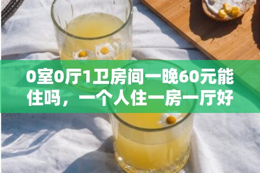 0室0厅1卫房间一晚60元能住吗，一个人住一房一厅好还是单间好