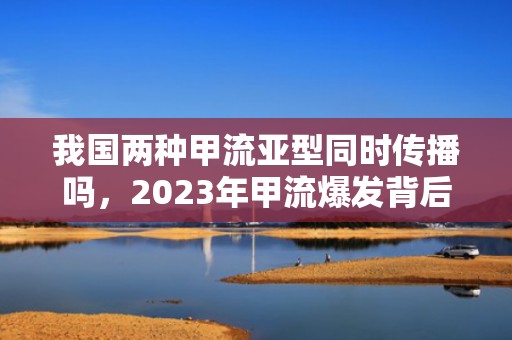 我国两种甲流亚型同时传播吗，2023年甲流爆发背后真相