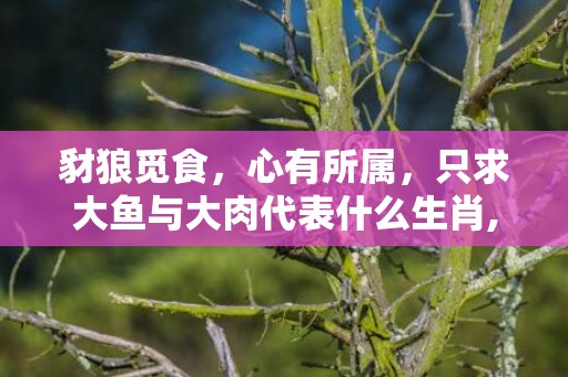 豺狼觅食，心有所属，只求大鱼与大肉代表什么生肖,答案曝光落实
