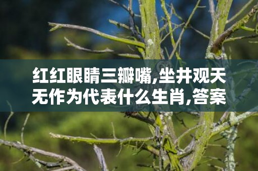 红红眼睛三瓣嘴,坐井观天无作为代表什么生肖,答案曝光落实