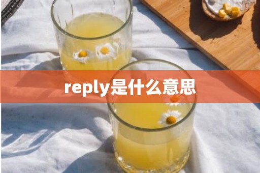 reply是什么意思