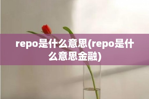 repo是什么意思(repo是什么意思金融)