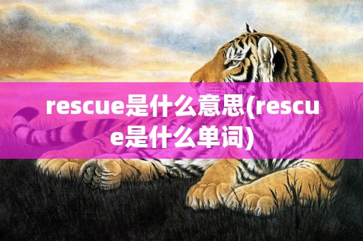 rescue是什么意思(rescue是什么单词)