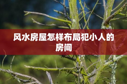 风水房屋怎样布局犯小人的房间