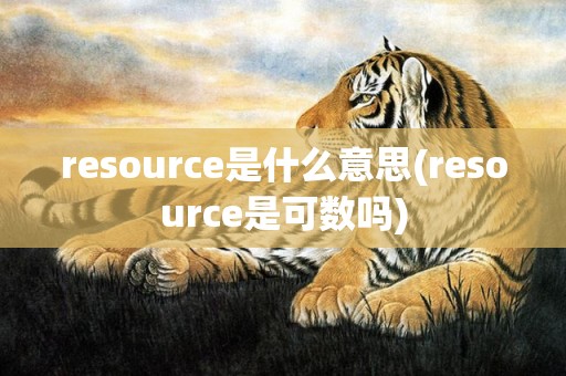 resource是什么意思(resource是可数吗)