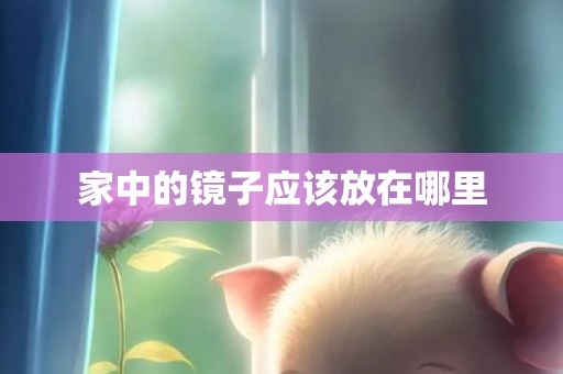 家中的镜子应该放在哪里