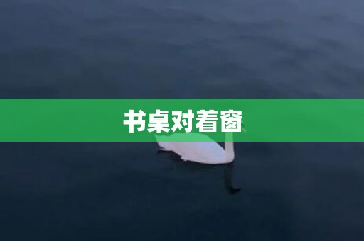 书桌对着窗