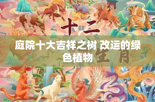 庭院十大吉祥之树 改运的绿色植物