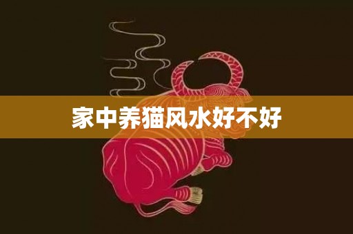 家中养猫风水好不好