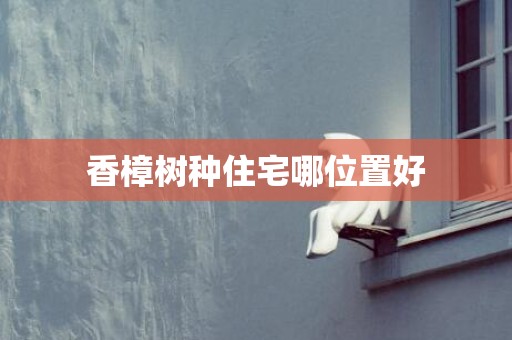 香樟树种住宅哪位置好