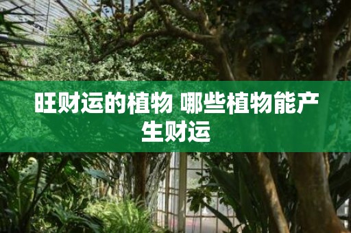 旺财运的植物 哪些植物能产生财运