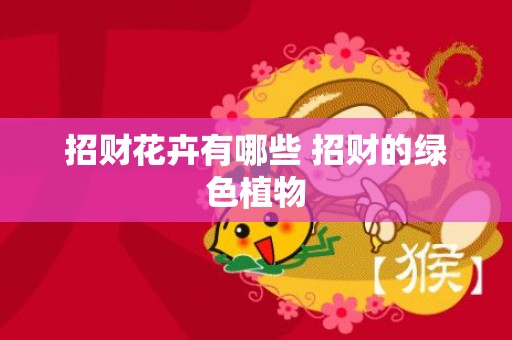 招财花卉有哪些 招财的绿色植物