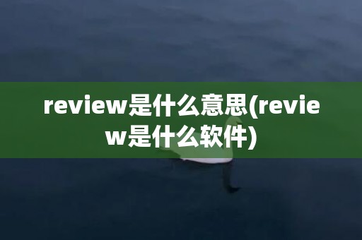 review是什么意思(review是什么软件)