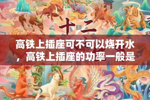 高铁上插座可不可以烧开水，高铁上插座的功率一般是多少