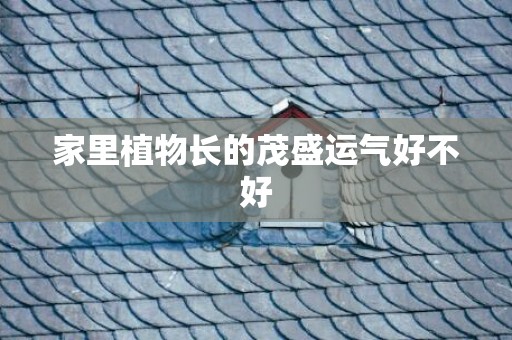 家里植物长的茂盛运气好不好