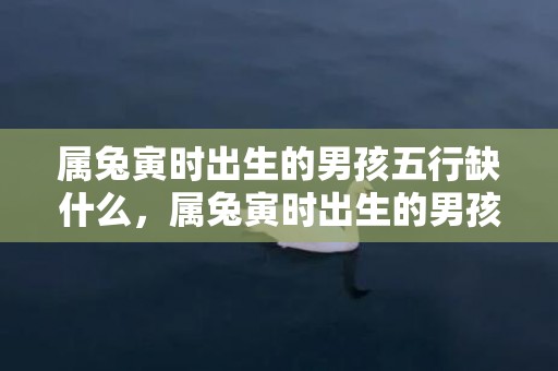 属兔寅时出生的男孩五行缺什么，属兔寅时出生的男孩起什么名字好，不应该用什么字