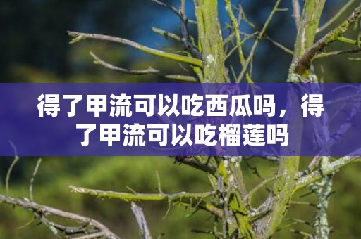 得了甲流可以吃西瓜吗，得了甲流可以吃榴莲吗