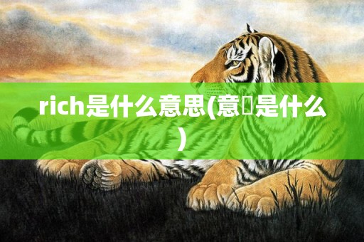 rich是什么意思(意婬是什么)