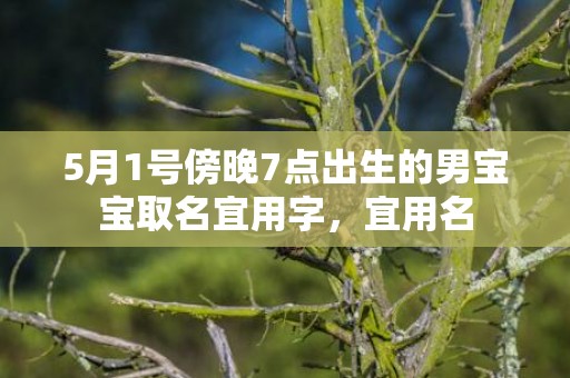 5月1号傍晚7点出生的男宝宝取名宜用字，宜用名