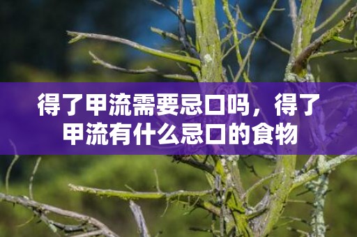 得了甲流需要忌口吗，得了甲流有什么忌口的食物