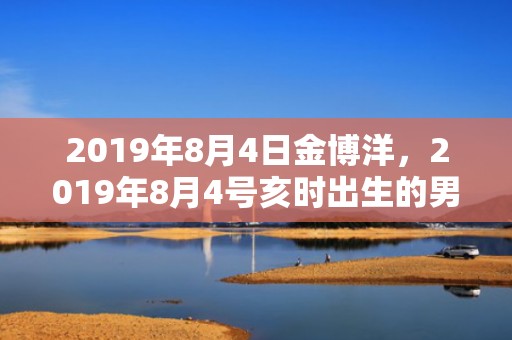 2019年8月4日金博洋，2019年8月4号亥时出生的男孩起什么名字会受益终生