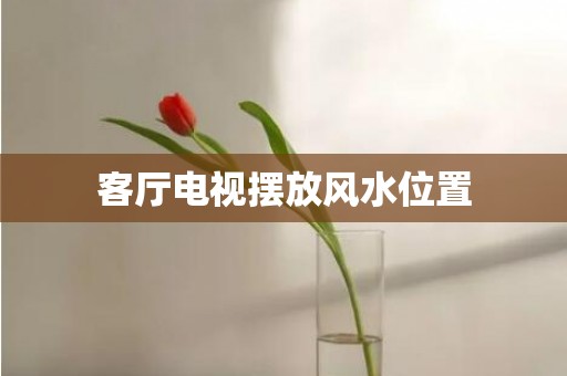 客厅电视摆放风水位置
