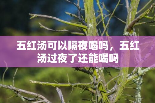 五红汤可以隔夜喝吗，五红汤过夜了还能喝吗