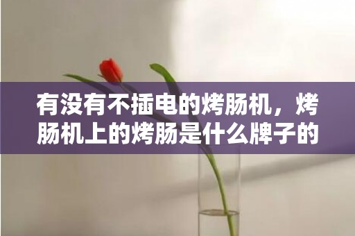 有没有不插电的烤肠机，烤肠机上的烤肠是什么牌子的