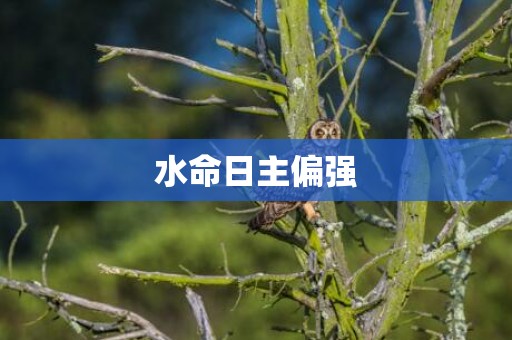 水命日主偏强