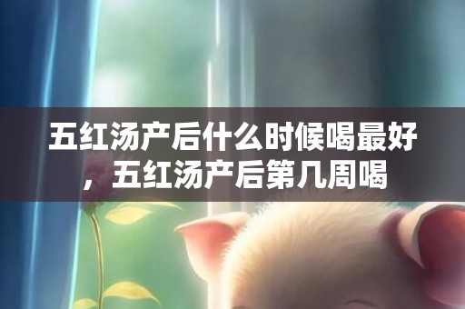 五红汤产后什么时候喝最好，五红汤产后第几周喝
