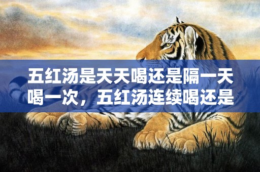 五红汤是天天喝还是隔一天喝一次，五红汤连续喝还是隔天喝效果好