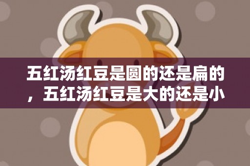 五红汤红豆是圆的还是扁的，五红汤红豆是大的还是小的