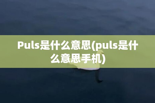 Puls是什么意思(puls是什么意思手机)