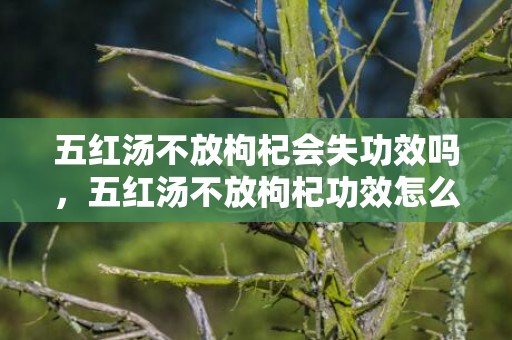 五红汤不放枸杞会失功效吗，五红汤不放枸杞功效怎么样
