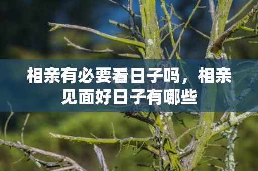 相亲有必要看日子吗，相亲见面好日子有哪些