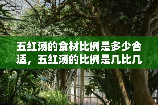 五红汤的食材比例是多少合适，五红汤的比例是几比几