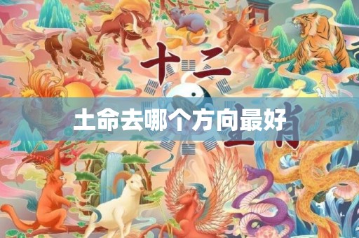 土命去哪个方向最好