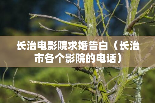 长治电影院求婚告白（长治市各个影院的电话）