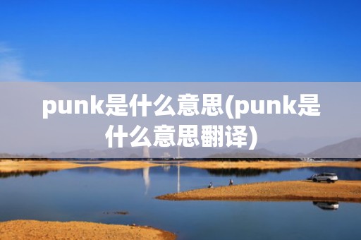 punk是什么意思(punk是什么意思翻译)