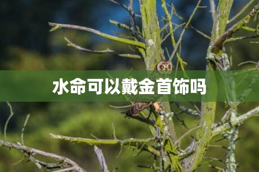 水命可以戴金首饰吗